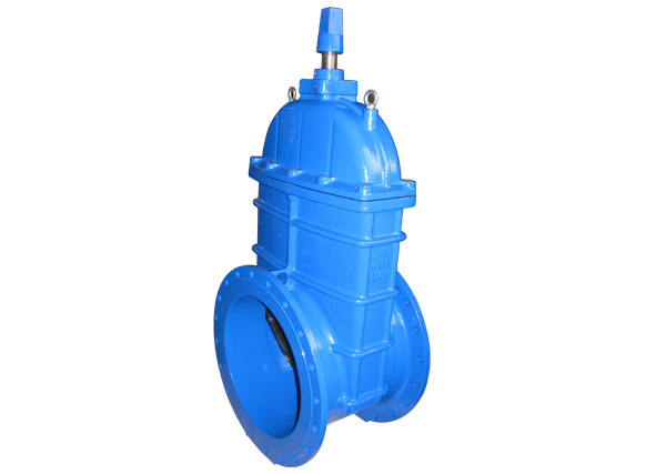 國標(biāo)地下軟密封閘閥