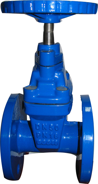 德標(biāo)新型雙蓋閘閥